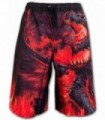 Draconis swim shorts