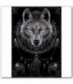 WOLF DREAMS - Poster 62x92cm