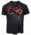 YIN YANG DRAGONS - T-Shirt Dragon en coton biologique