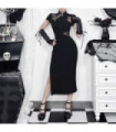 Mujer gótica Sipder malla Splice Split Vestido de Halloween