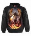 DRACO UNLEASHED - Hoody Black (Plain)